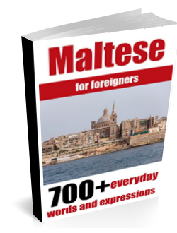Learn over 700 Maltese everyday words and expressions
