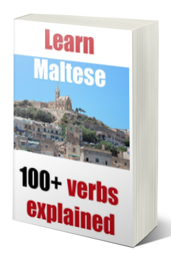 Learn Maltese verbs with a book detailing all the conjugations